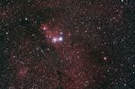 NGC2264,<br />2019-02-25